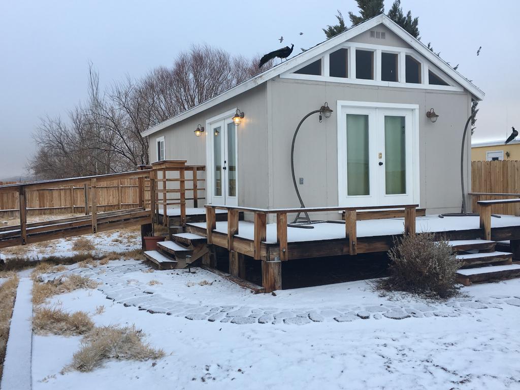 Scottys Junction Shady Lady Bed And Breakfast المظهر الخارجي الصورة